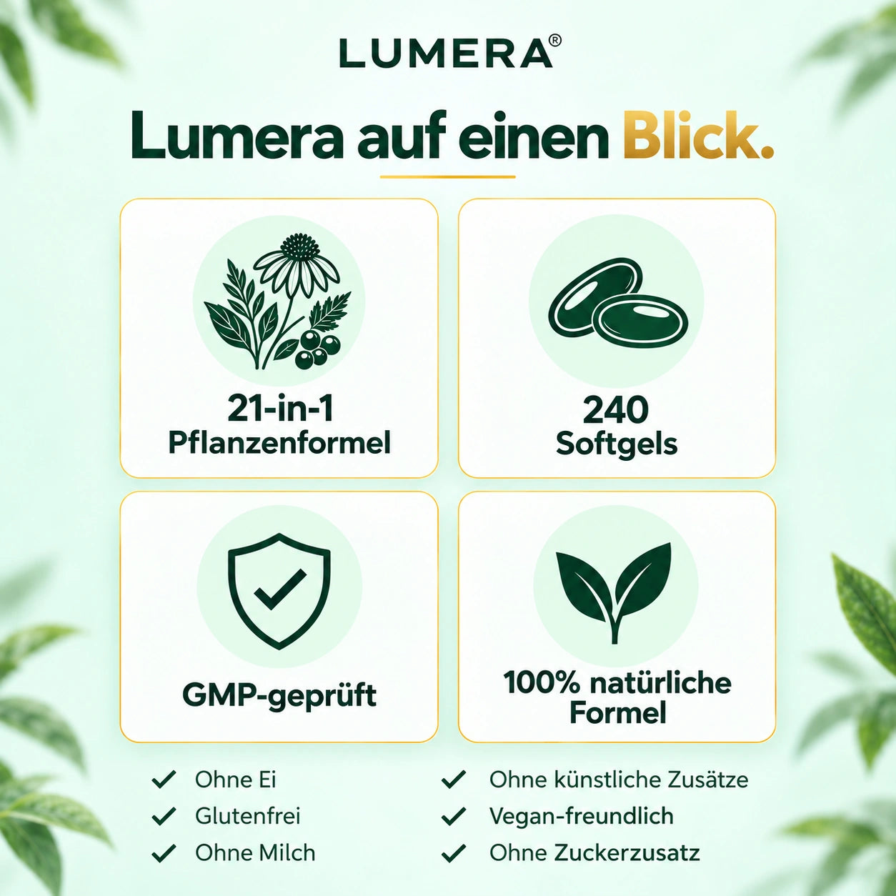 LUMERA – Produktinformation 3