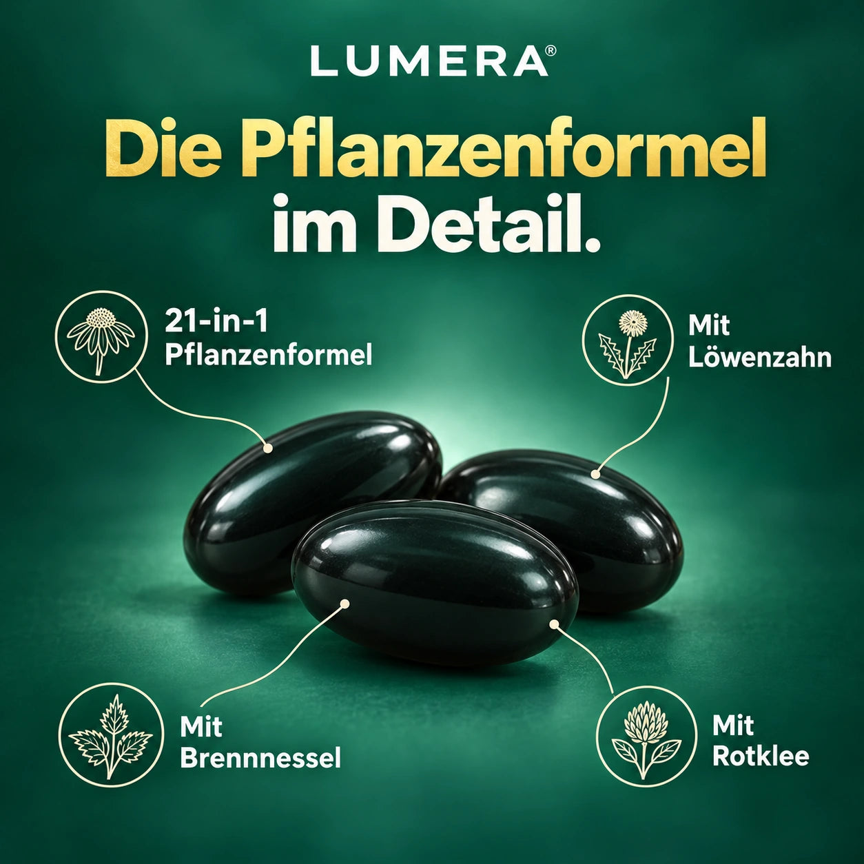 LUMERA – Produktinformation 4