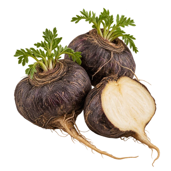 Maca